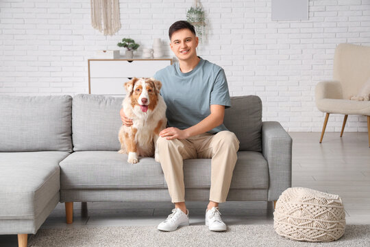 Young man with cute Australian Shepherd dog sitting on sofa in living room