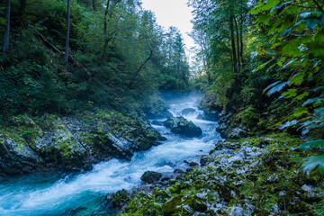Misty Morning in Vintgar Gorge, Slovenia with Wild River and Tree Leaves in Foreground