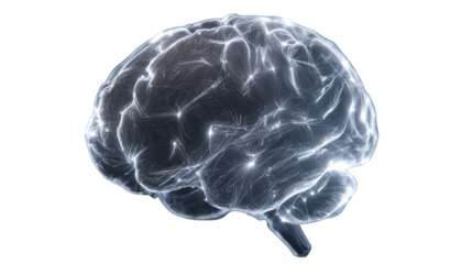 Brain Visualization: An artistic representation of the brain, a symbol of intelligence, creativity, and the power of thought. The illustration showcases the intricate structure of the brain.