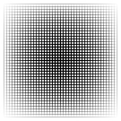 Optical Illusion Grid Squares mosquito net Depth Effect