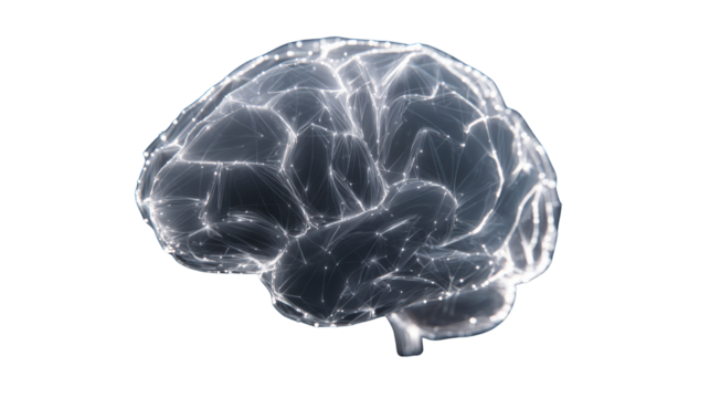 Illuminated Brain: A luminous representation of the human brain, showcasing intricate neural pathways in vibrant detail.