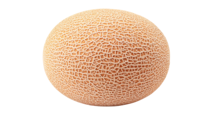 Cantaloupe, The Summer Treat: A ripe cantaloupe, with its textured rind and inviting aroma, invites a moment of pure refreshment and the essence of the summer season.