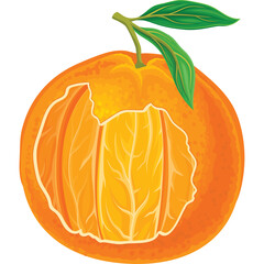 A Bright Orange Citrus Fruit With Green Leaves And Stem Peeled Open To Reveal Juicy Segments Against A Transparent Background
