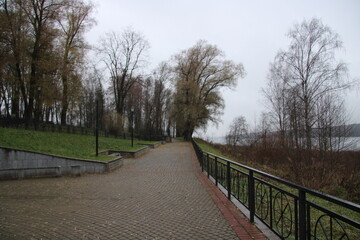 the alley in the park in autumn