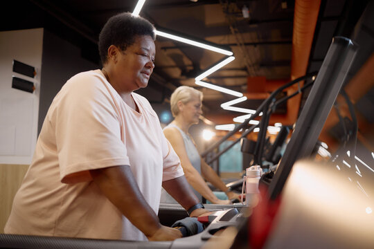 Caucasian senior woman and Black middle aged woman exercising on treadmills in modern gym, both focused on workout, fitness equipment visible in background, healthy lifestyle concept