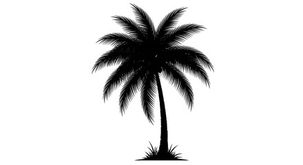 A simple black silhouette of a single tropical palm tree isolated on a white background.