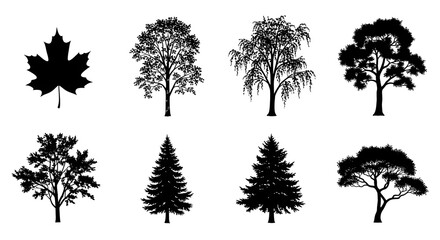 A collection of eight distinct tree silhouettes and a single maple leaf silhouette against a white background.