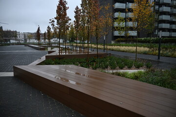 Benches and flower beds in the city center
