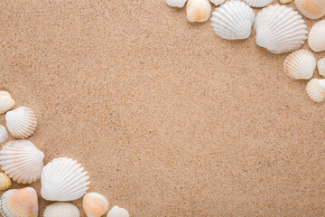 Different beautiful sea shells on light brown dry sand background. Closeup. Empty place for text. Top down view.