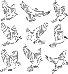 Collection of black and white bird silhouettes in various flight poses birds flying