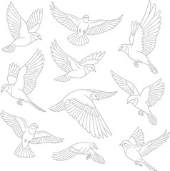 Flock of birds in flight silhouette pattern flying