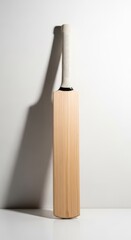 Minimalist Cricket Bat Still Life Striking Sports Equipment Against Bright Wall Studio Shot