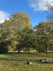 hyde park in London in autumn, landscape