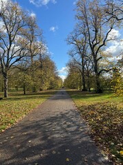 hyde park in London in autumn, landscape