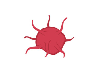 Platelet Cell Thrombocytes 