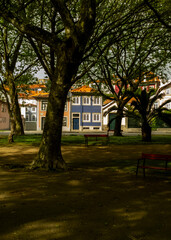 A park with trees, benches, and colorful buildings in the background.