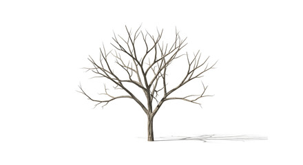 Obraz premium Bare tree silhouette for impactful design projects, create a striking winter or autumn scene easily