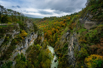Autumn forest valley with river flowing through trees