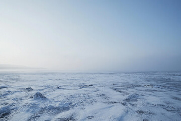 Obraz premium breathtaking expanse of permafrost tundra, where life thrives in defiance of the cold