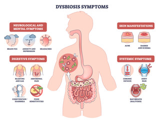 Naklejka premium Dysbiosis symptoms visual shows gut imbalance across body, human silhouette with intestines and bacteria icons highlights digestive, skin, mental signs, transparent background.