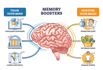 Memory boosters diagram shows a brain with arrows to sleep, brain foods, and learning tips, key objects, brain, arrows, icons, transparent background.