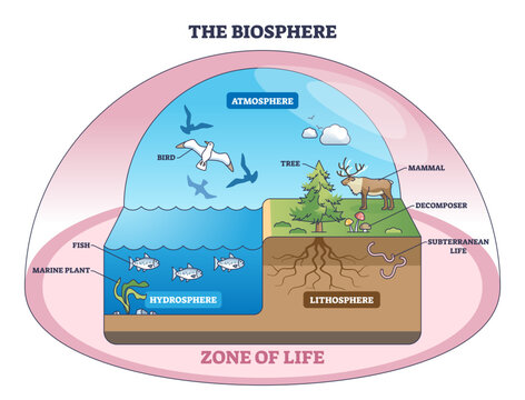 Biosphere diagram explaining life zones across atmosphere, hydrosphere and lithosphere, key objects, tree, fish, bird, transparent background.