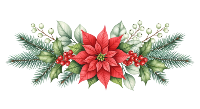 Watercolor christmas poinsettia and pine branch garland with holly and berries, isolated on transparent background