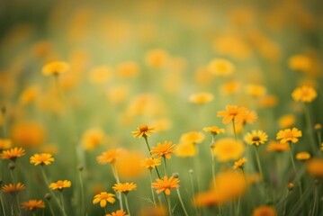 Soft Focus Field of Orange and Yellow Wildflowers, Minimalist Blurred Texture