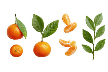 Close-up of several clementines, whole and segmented, with leaves