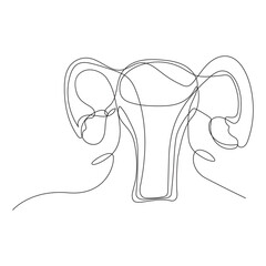 Continuous one line art  drawing of female reproductive uterus and women's day vector illustration.