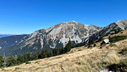 High mountain ridge under clear blue sky showing natural wilderness view