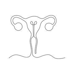 Continuous one line art  drawing of female reproductive uterus and women's day vector illustration.