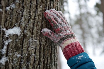 child mitten-covered hands reaching up to touch snowy tree trunk