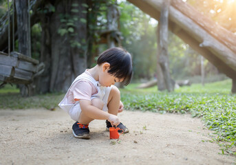 little boy playing in the sand with toy trucks and a shovel under dappled sunlight, enjoying a peaceful outdoor moment surrounded by trees and nature 
