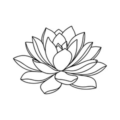 Minimalist Succulent Plant Line Art Drawing