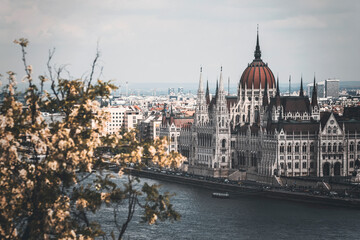 Obraz premium panorama of hungarian parliament building with danube river and trees foreground