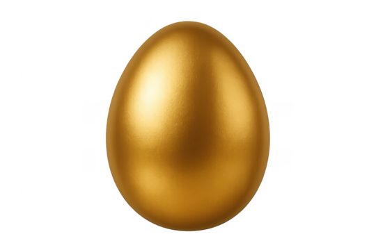 Golden egg representing success and valuable investment