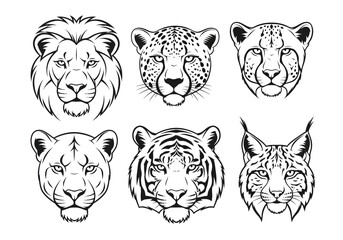 Heads of various wild cats: lion, leopard, cheetah, puma, tiger, lynx, in black and white, vector illustration.