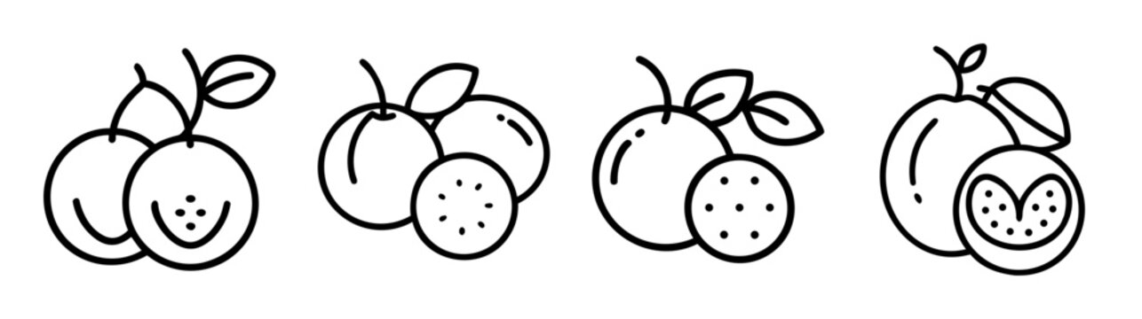 Hand drawn indian gooseberries amla fruit with leaves and slices line art collection