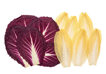Deep purple radicchio and pale yellow translucent chicory leaves, brittle and papery with delicate veins, meticulously layered and pressed flat on a transparent background, concept of botanical