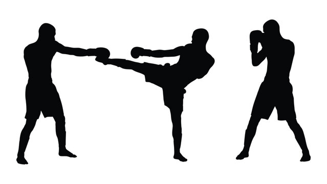Combat sports silhouettes isolated on white background, Vector