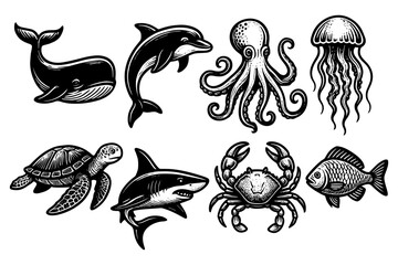 Fototapeta premium Detailed black and white marine life drawings featuring iconic sea creatures