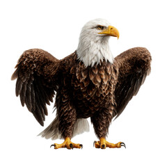 Obraz premium Bald eagle with wings spread isolated on transparent background, ready to take off