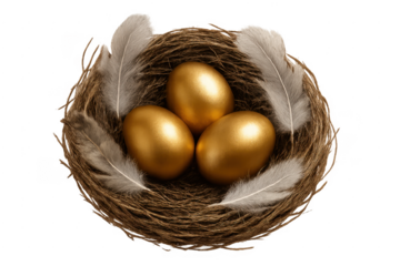 Golden eggs in nest representing wealth investment and savings