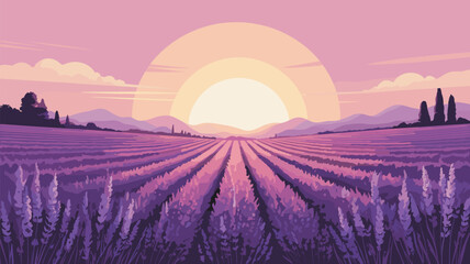 Lavender Field Landscape at Sunset Colorful Vector Illustration