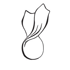 Vector black and white illustration of candy. The graphic is drawn by hand using ink. Suitable for design of Christmas, holiday cards, birthday decoration, invitations, packaging. 