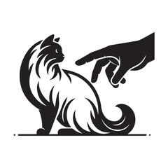 Cat and Hand Interaction: A Gentle Touch.