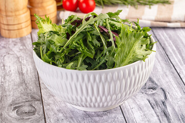 Fresh green ruccola salad leaves