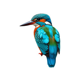 kingfisher on white background,transparent PNG, Kirigami style 
