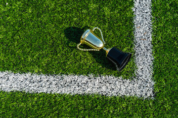 Golden trophy lying on soccer field line © unai